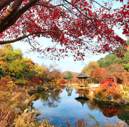 아침고요수목원 단풍 전경