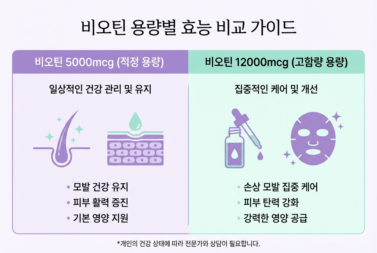 비오틴 5000µg과 12000µg 함량을 비교하는 인포그래픽, 각 함량별 추천 대상과 특징이 아이콘과 함께 정리되어 있습니다.