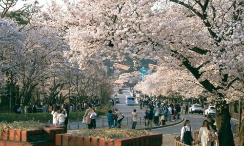 고베 동물왕국
