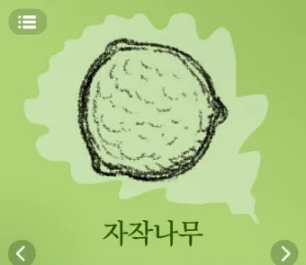 알레르기 배려 저자극실내식물 추천 흙먼지줄이기 수경재배 활용_5