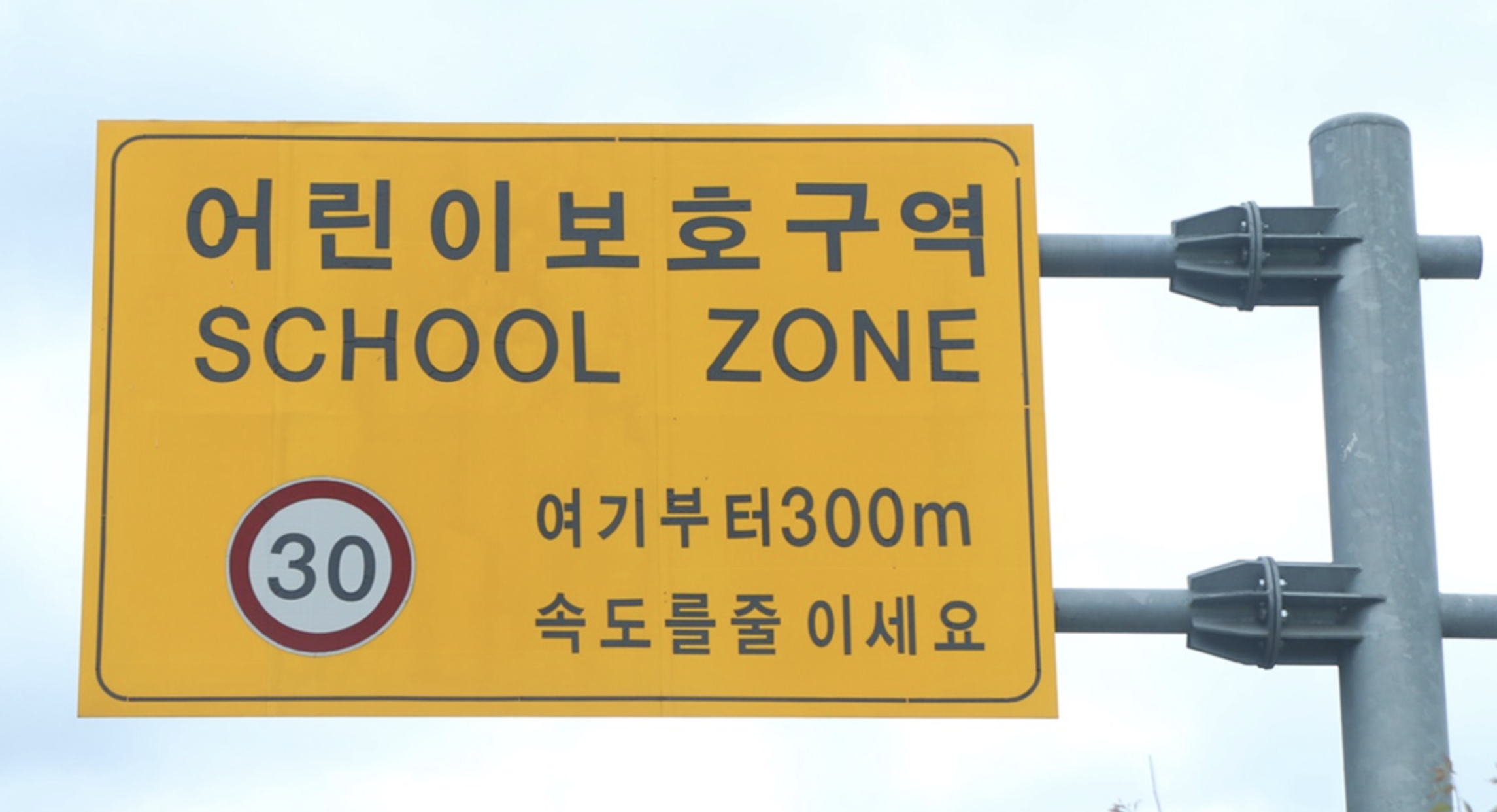 스쿨존 속도제한 헌법소원