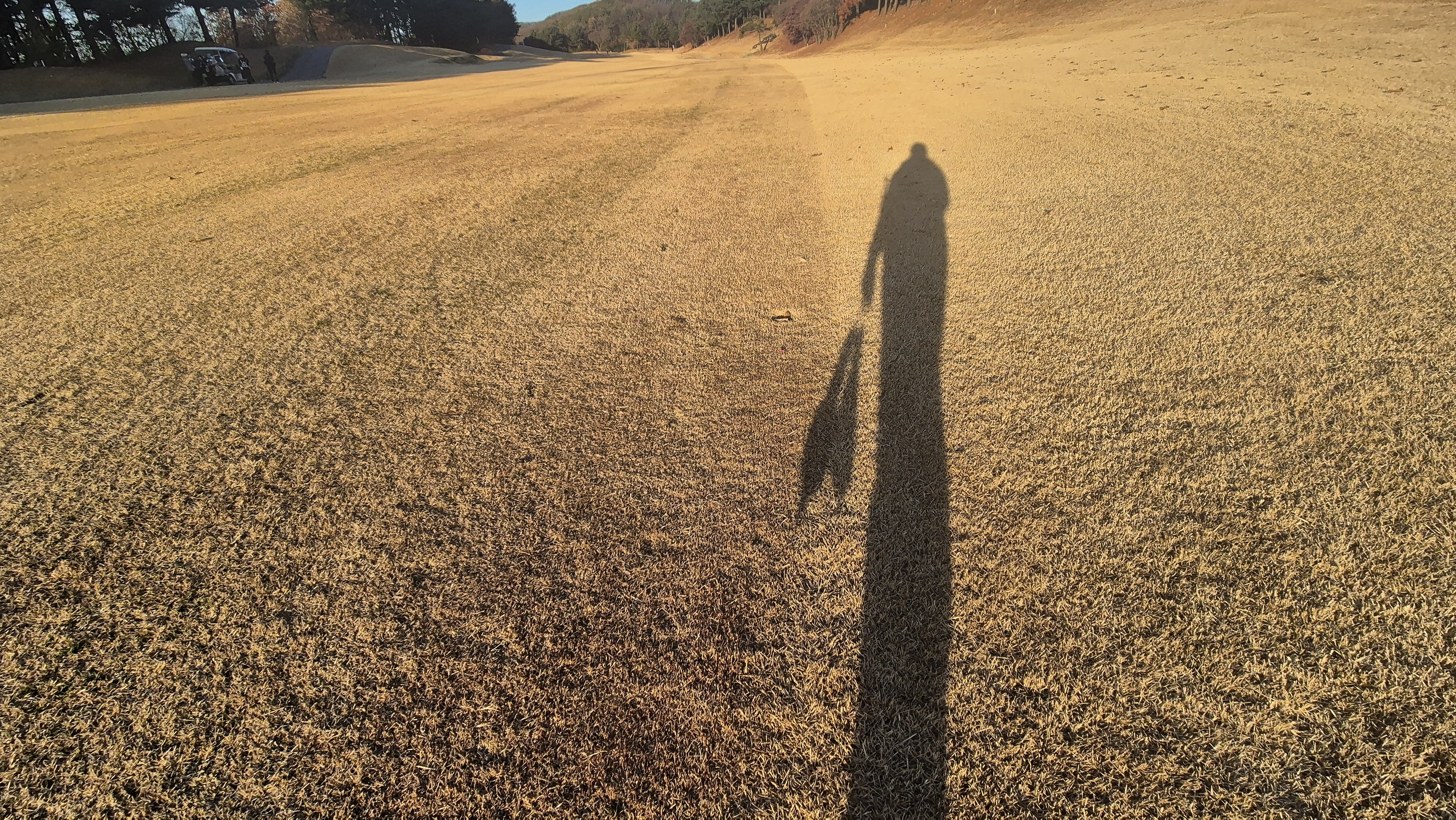 88cc 서코스 라운드 코스관리상태