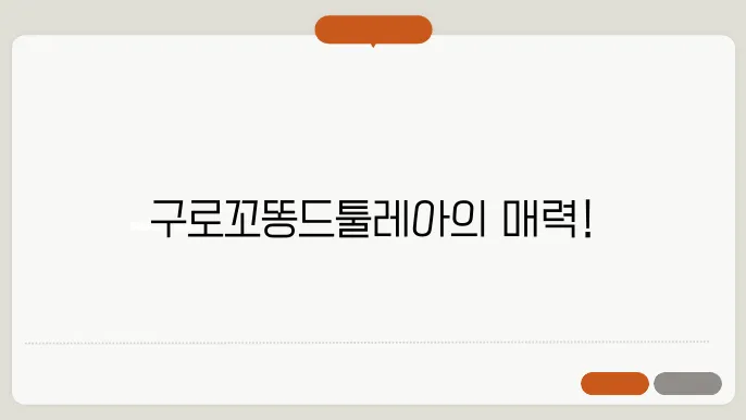 꼬똥드툴레아분양 활기차게 자라는 구로꼬똥드툴레아분양