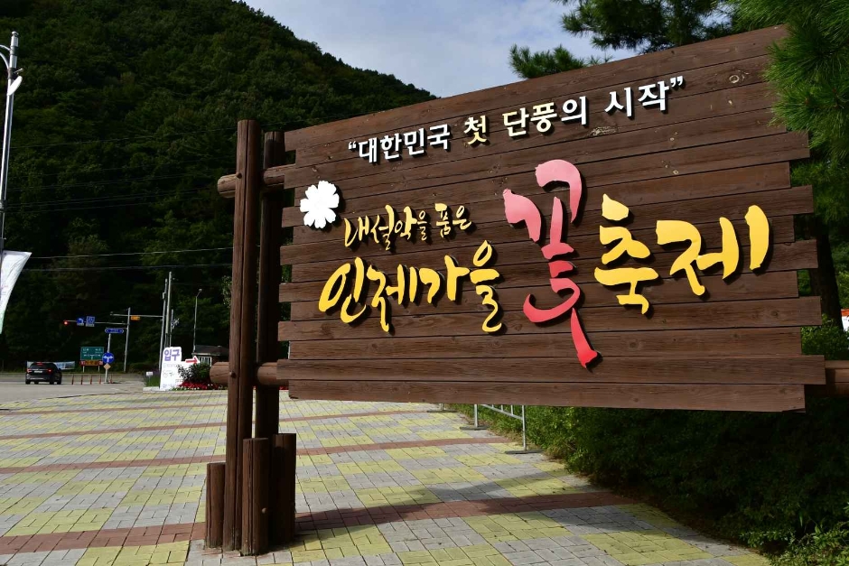 24년 가을꽃 소개 가볼만한 곳