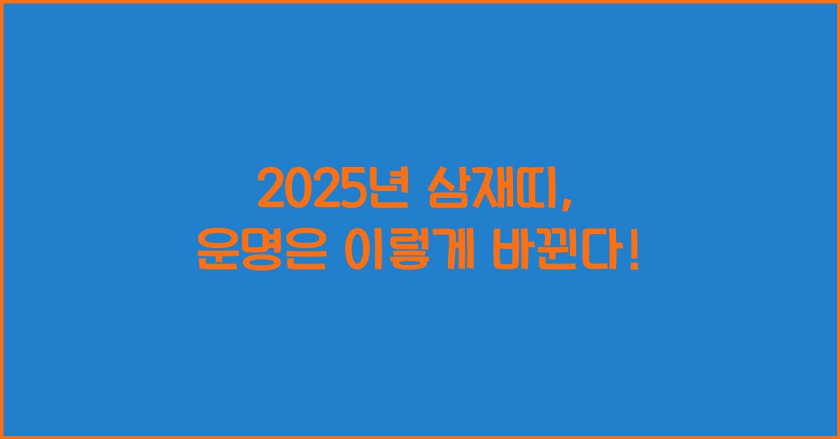 2025년 삼재띠