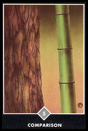 오쇼젠 원문 해석본에 관한 사진