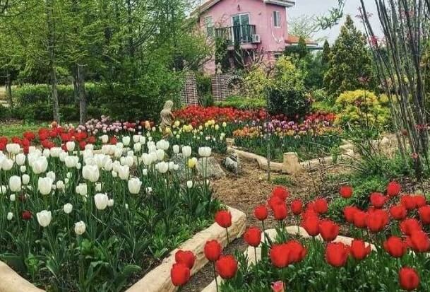 태안 가볼만한곳 베스트 10