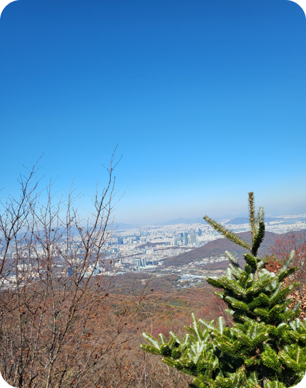 청계산등산코스
