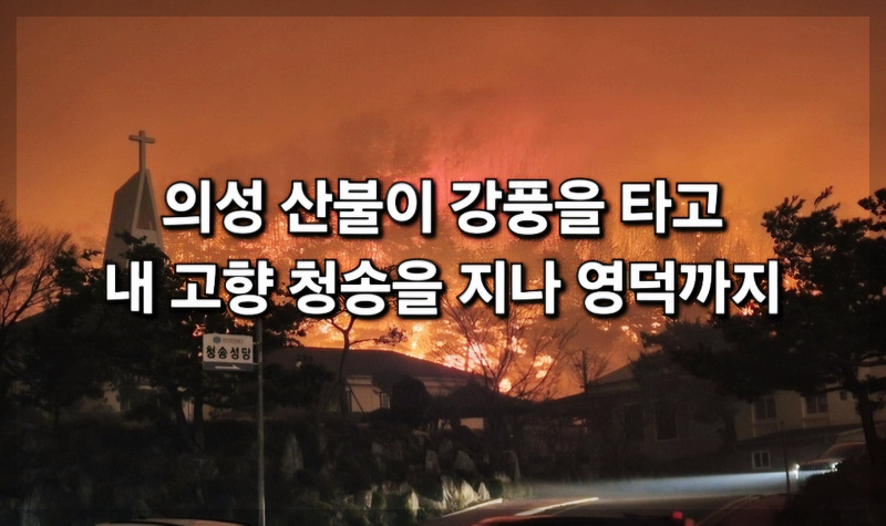 경북 산불, 청송 산불