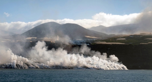 진중권 대신 사용