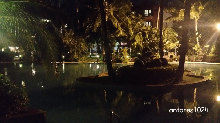 야자수와-조명이-있는-수영장-야경
