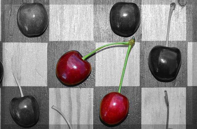 타이젬 바둑 대국실 설치 다운로드