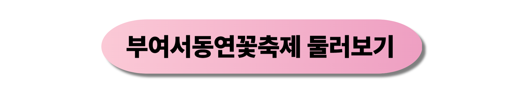 부여서동연꽃축제