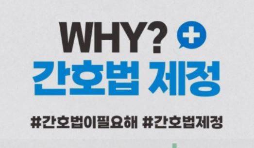 간호법 제정