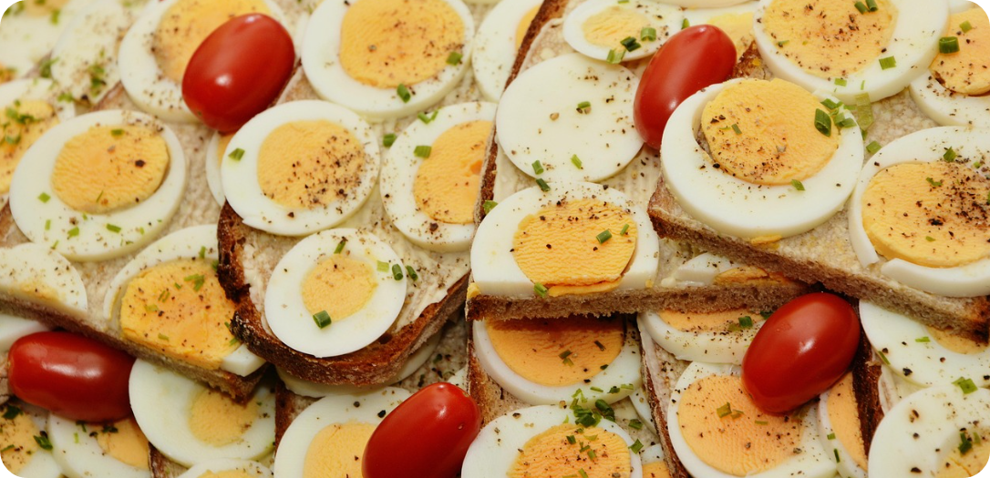 단백질의 여왕 달걀 사진