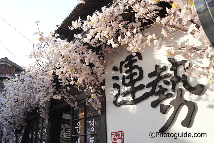 포항-구룡포-일본인가옥거리