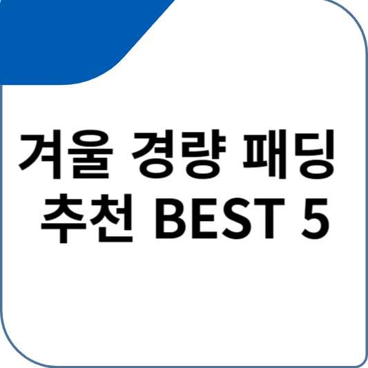 겨울 경량 패딩 추천 BEST 5