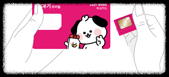유심 e-SIM 이심