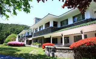 청남대 봄꽃축제 영춘제