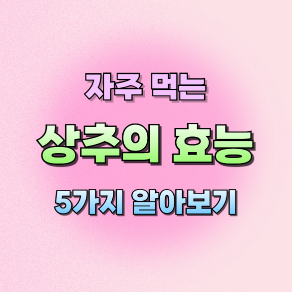 상추의효능