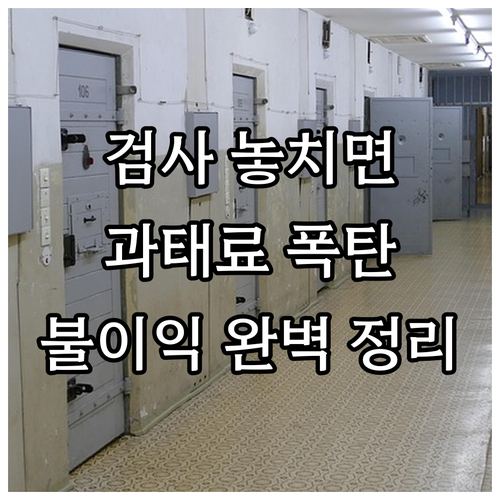 자동차 검사, 놓치면 손해! 과태료와..