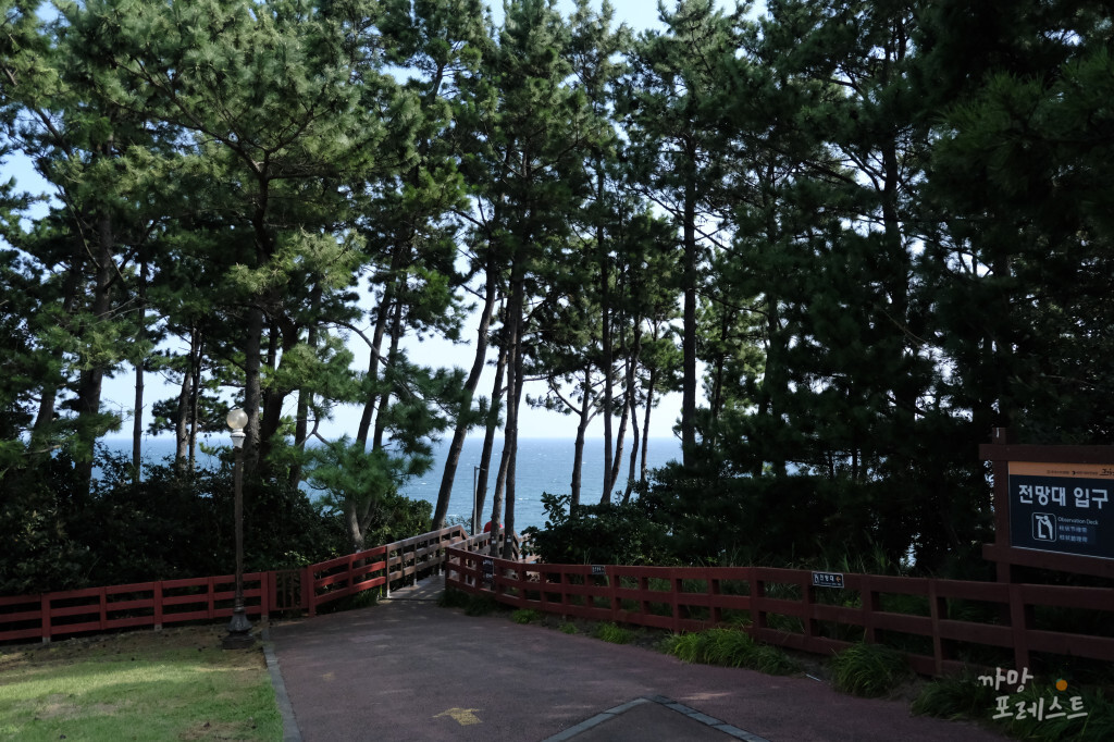 중문 주상절리대 전망대