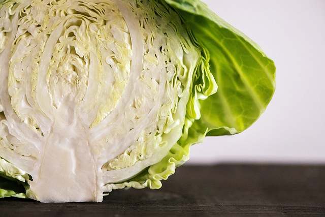 당뇨 관리식 양배추 토마토 효능 혈당 잡는 운동 필록싱바레 추천 소개