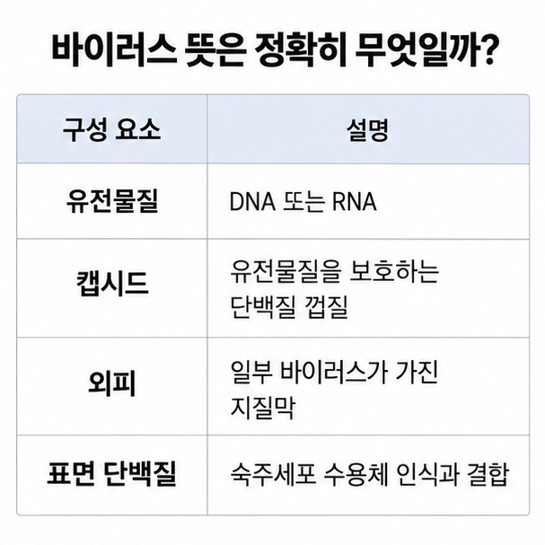 바이러스의 유전물질 캡시드 외피 표면 단백질의 역할을 정리한 표