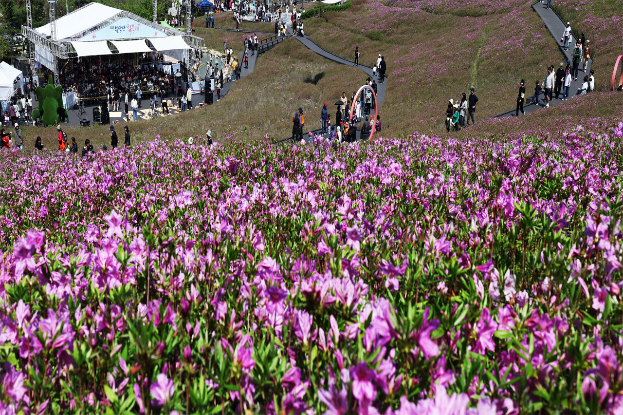 불암산 철쭉제 / 사진출처=노원구청