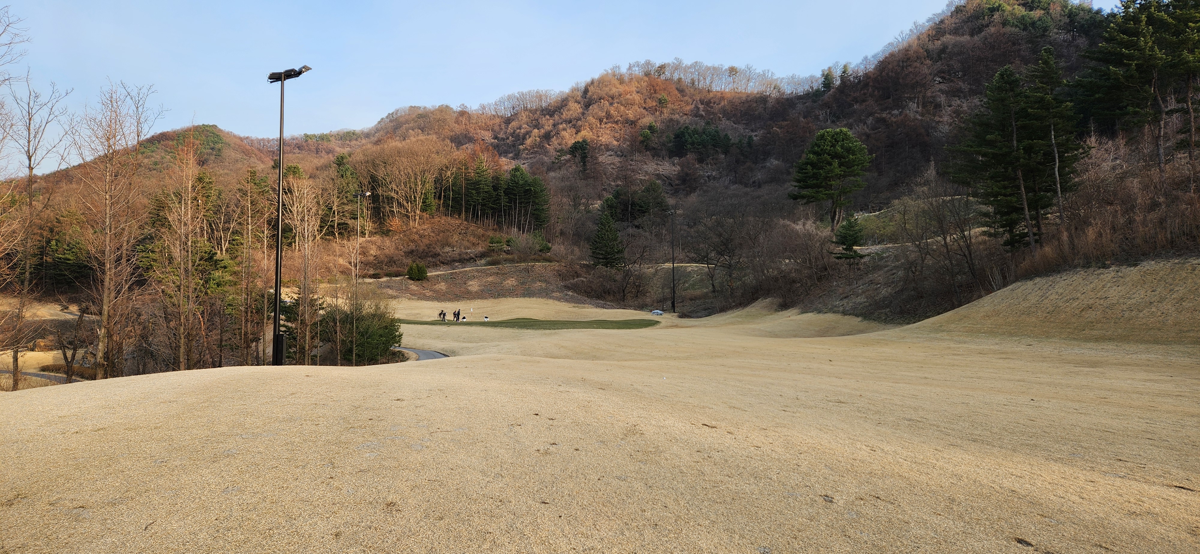 베뉴지cc