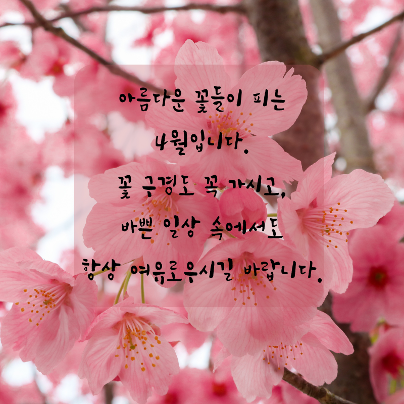 4월 인사말 문구 이미지 모음집