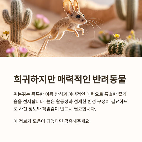 희귀하지만 매력적인 관찰형 반려 설치류입니다