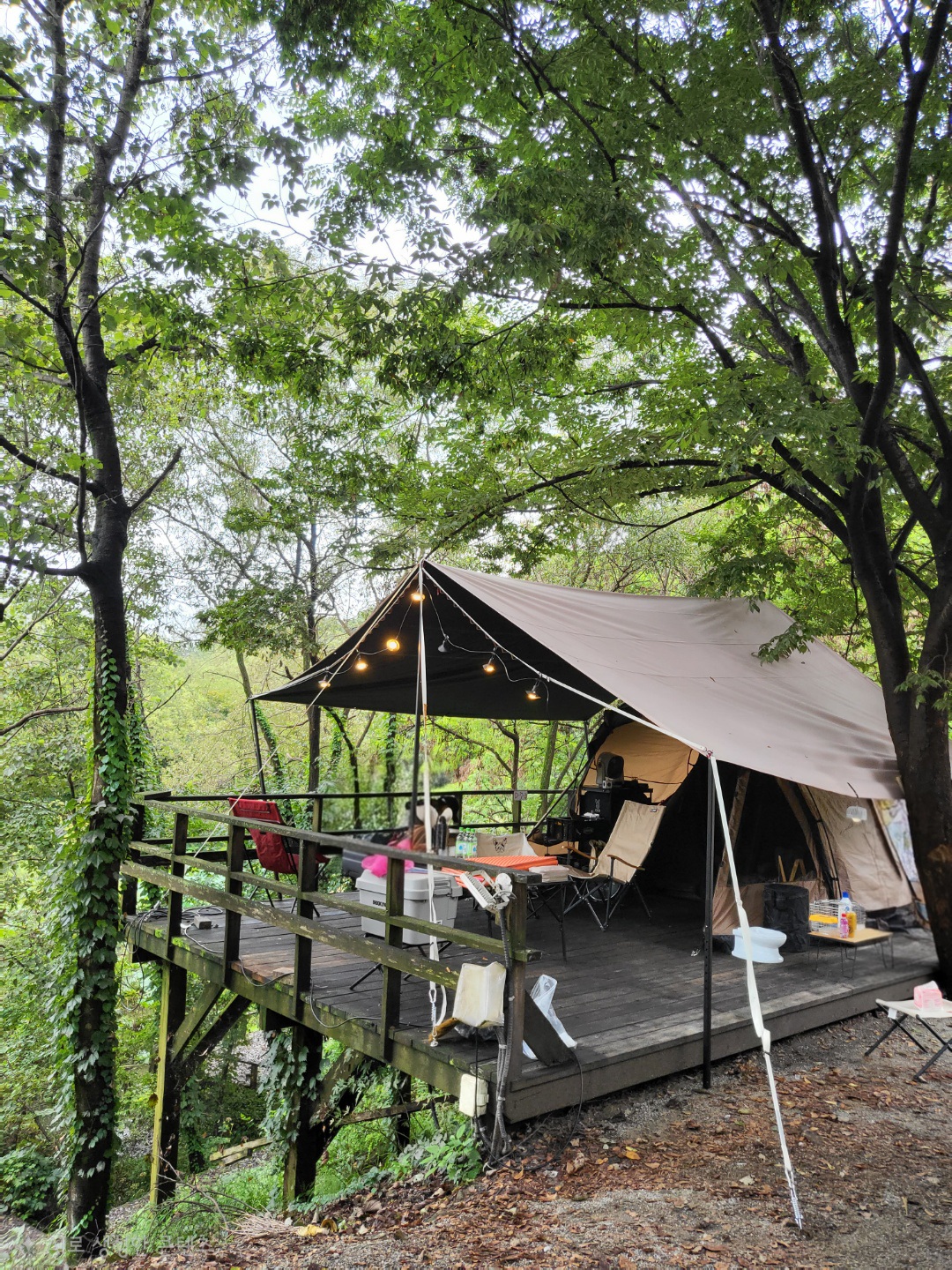 나무 그늘 아래 타프와 돔텐트의 아늑한 공간