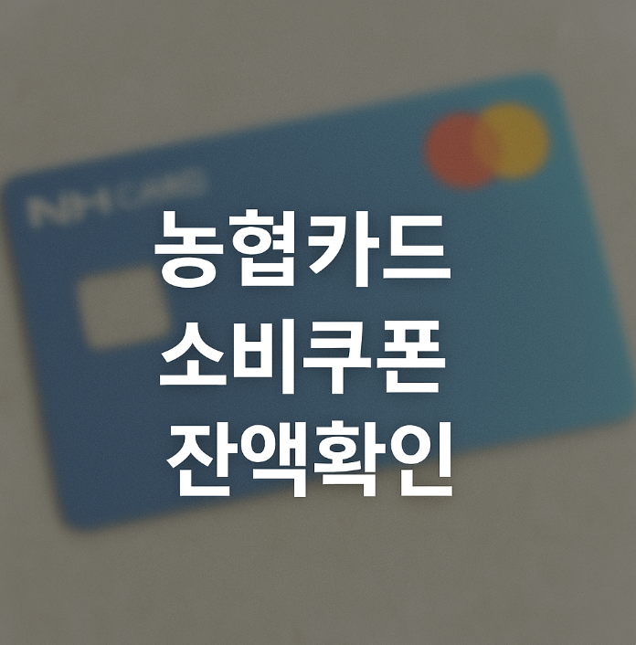 농협카드 소비쿠폰 잔액확인