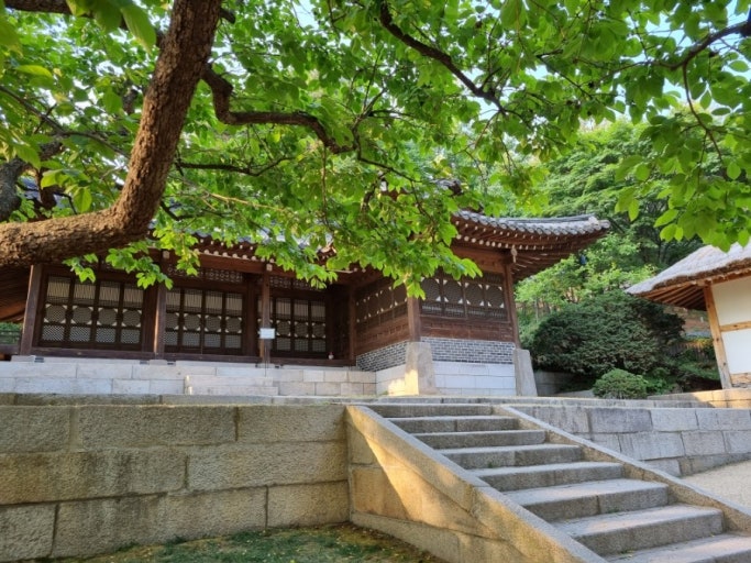 청와대 교태전 밤마실, 조선의 숨결이 깃든 고요한 밤산책