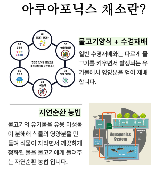생방송투데이 이주의 장바구니 아쿠아포닉스 16종 유럽 잎채소 구매방법 밀양 플로우팜