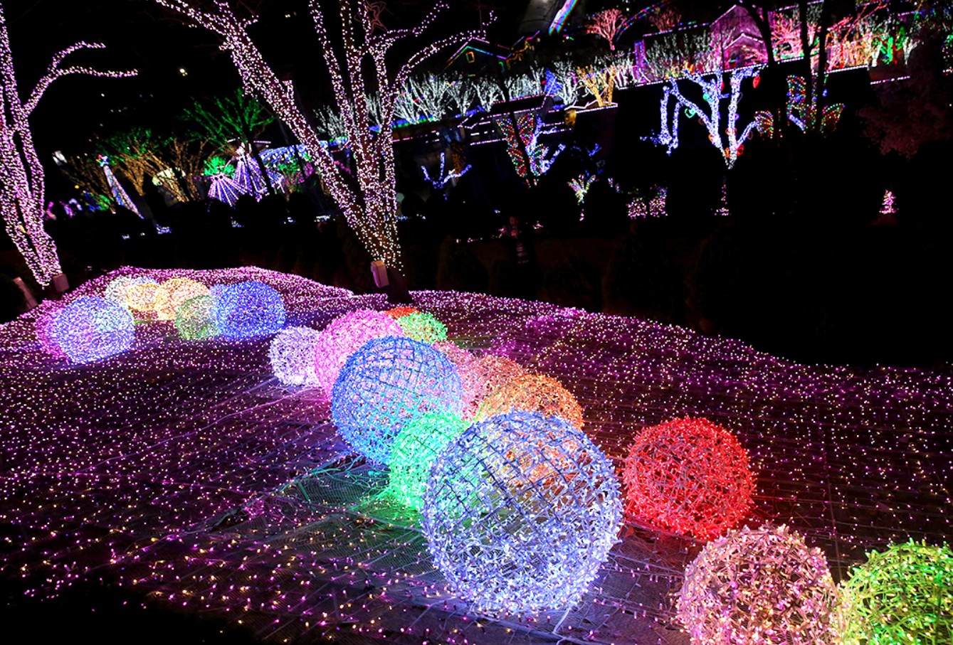 12월 축제 일정표