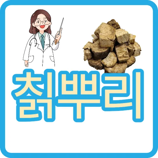 칡 칡뿌리 갈근 효능 칡즙 칡냉면 칼로리
