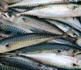 심근경색에 좋은 음식 영양제 식단