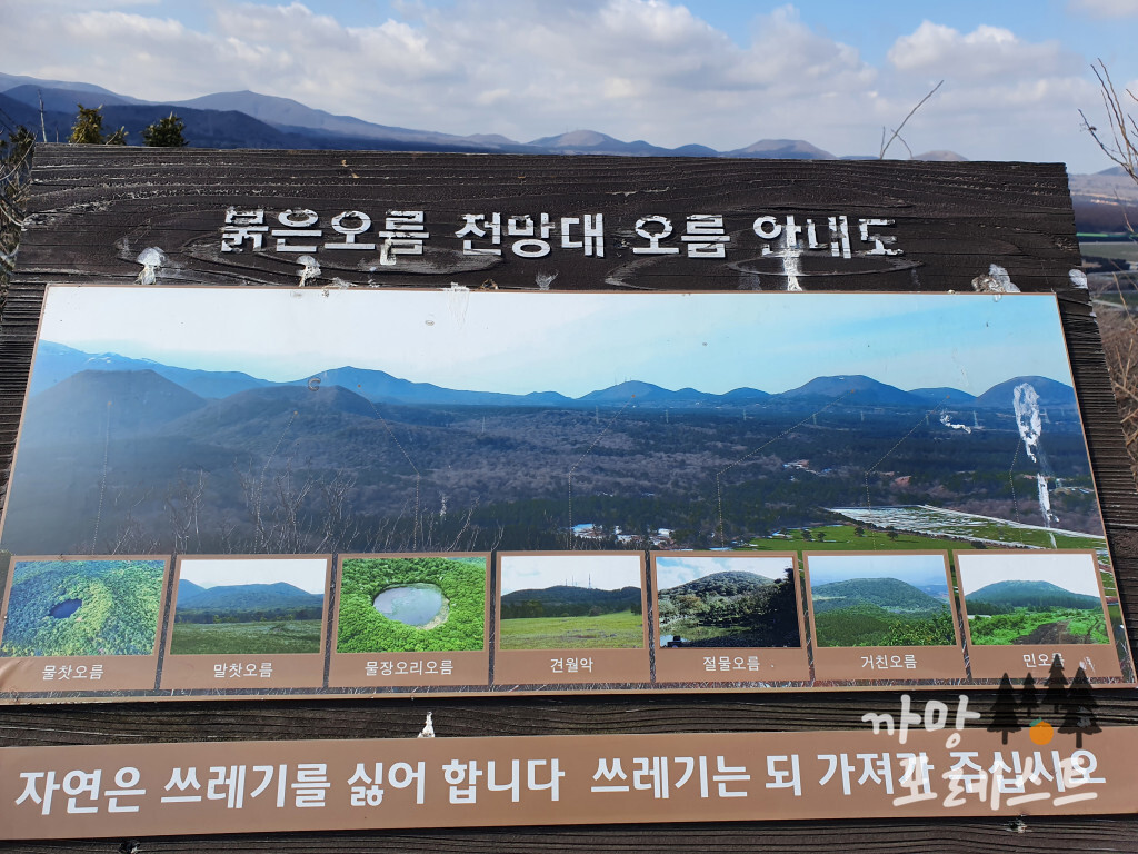 붉은 오름 정상 풍경