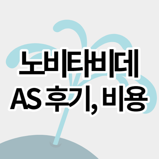 노비타비데_AS후기_비용_썸네일