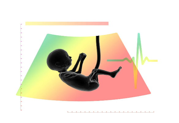 엄마가 되어가는 중간 과정, 임신 중기의 기록