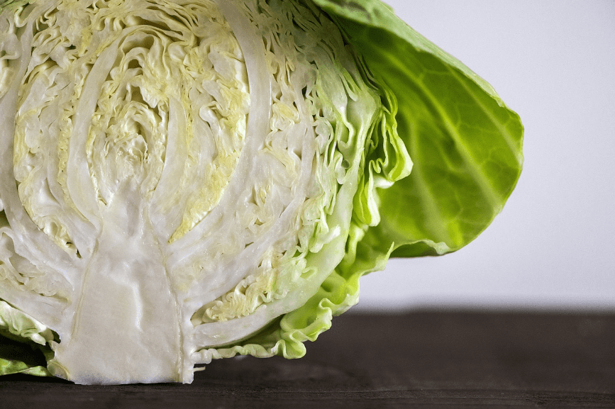 양배추를-자른-단면-이미지