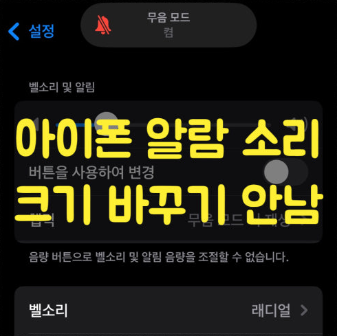 아이폰 알람 소리 크기 아이폰 알람 소리 안남 해결