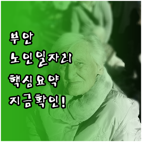 부안군 노인일자리 유형별 활동 내용과..