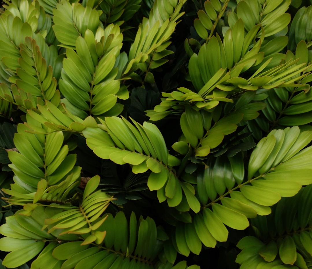 Ecology