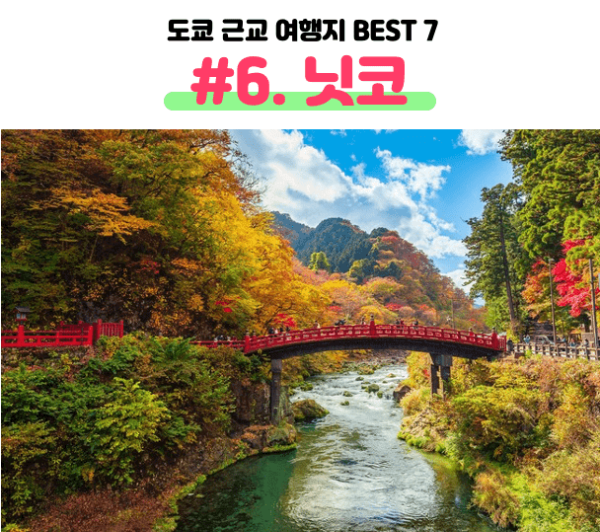 도쿄-근교-여행지-가마쿠라-에노시마-요코하마-하코네-이즈-닛코-카와고에-스이카-애플페이-일본-체크-카드-돈키호테-할인쿠폰