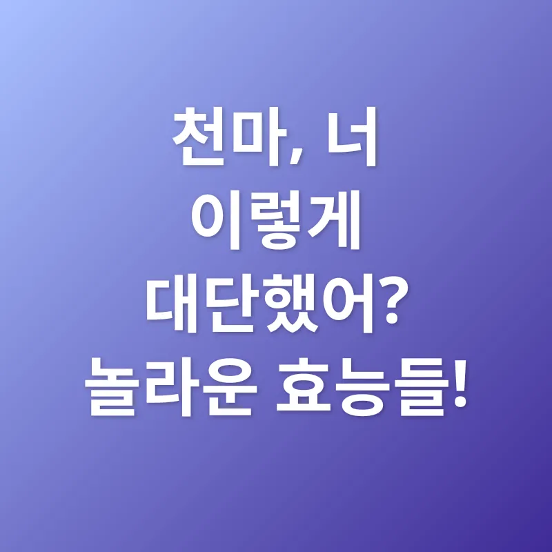 천마의 효능_2