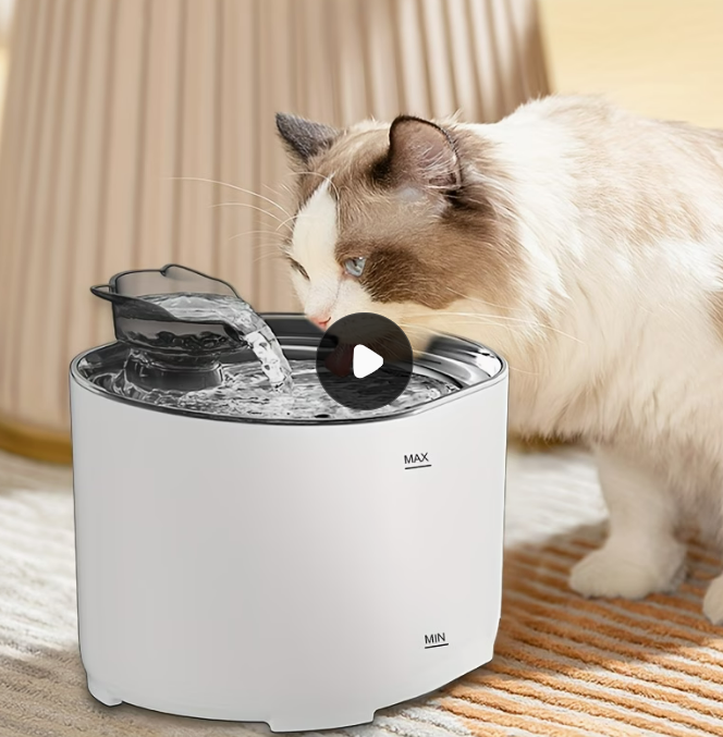 1️⃣ 고양이 물 분수 2.2L