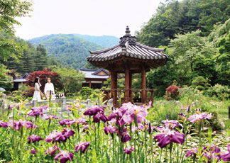 가평 가볼만한 곳